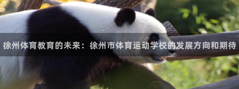 意昂5集团