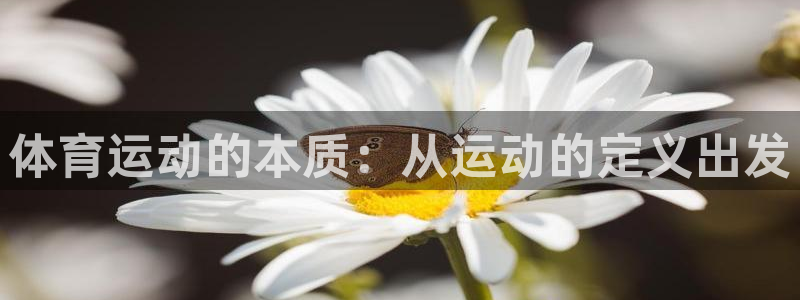 德国意昂5集团