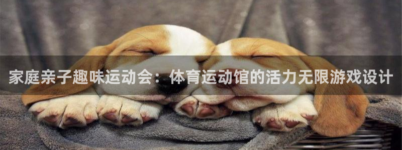 意昂5体育官网入口登录