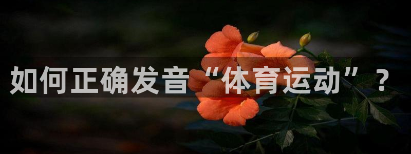 意昂5体育