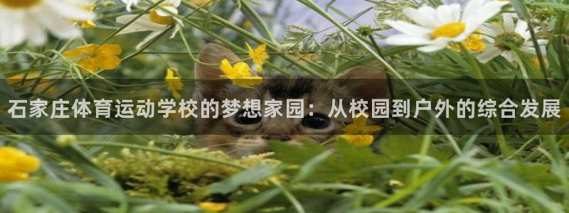 意昂5f凯捷平台在线注册