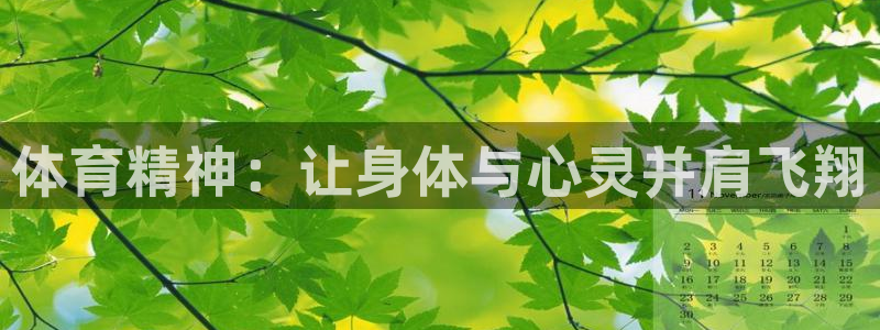 意昂5包怎么样