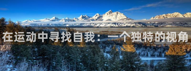 成都意昂5电子有限公司