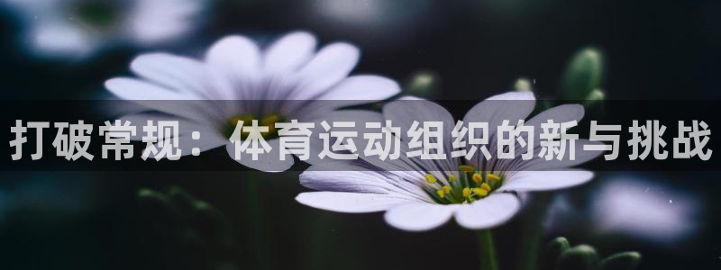 意昂5凯捷平台注册链接