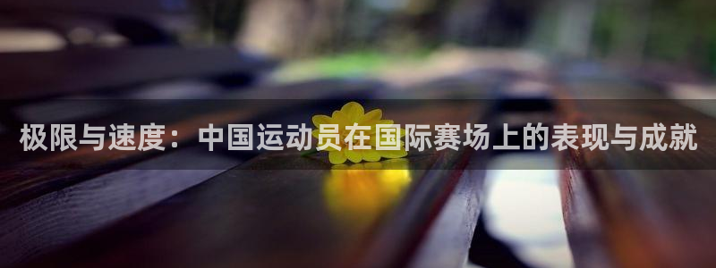 意昂54