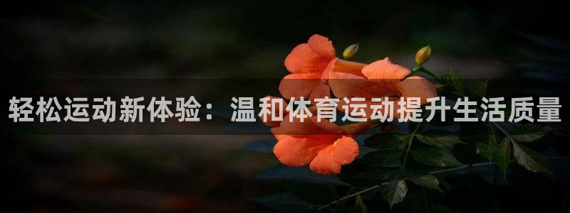 意昂52代理注册