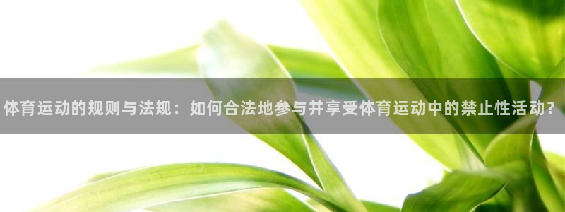 意昂53注册