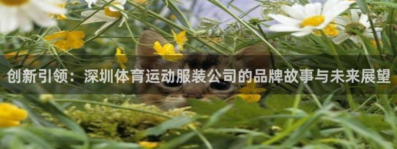 意昂5体育3